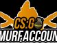 Learn All About Csgo Smurf Accounts Today!